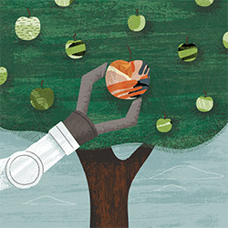 Machine Learning Illustration